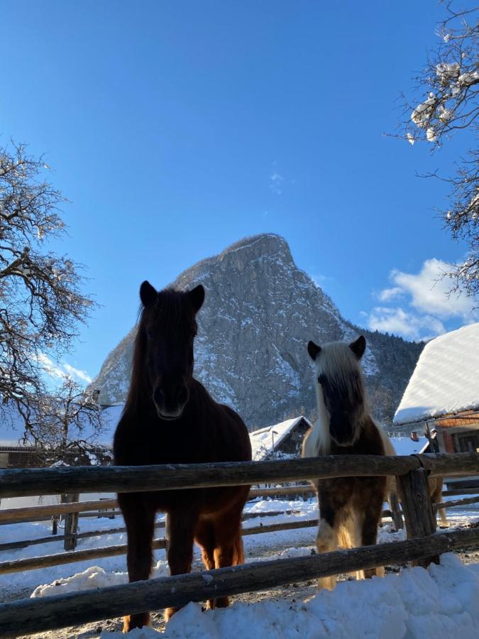 Apartmaji Katrnjek Apartment Bohinj Luaran gambar