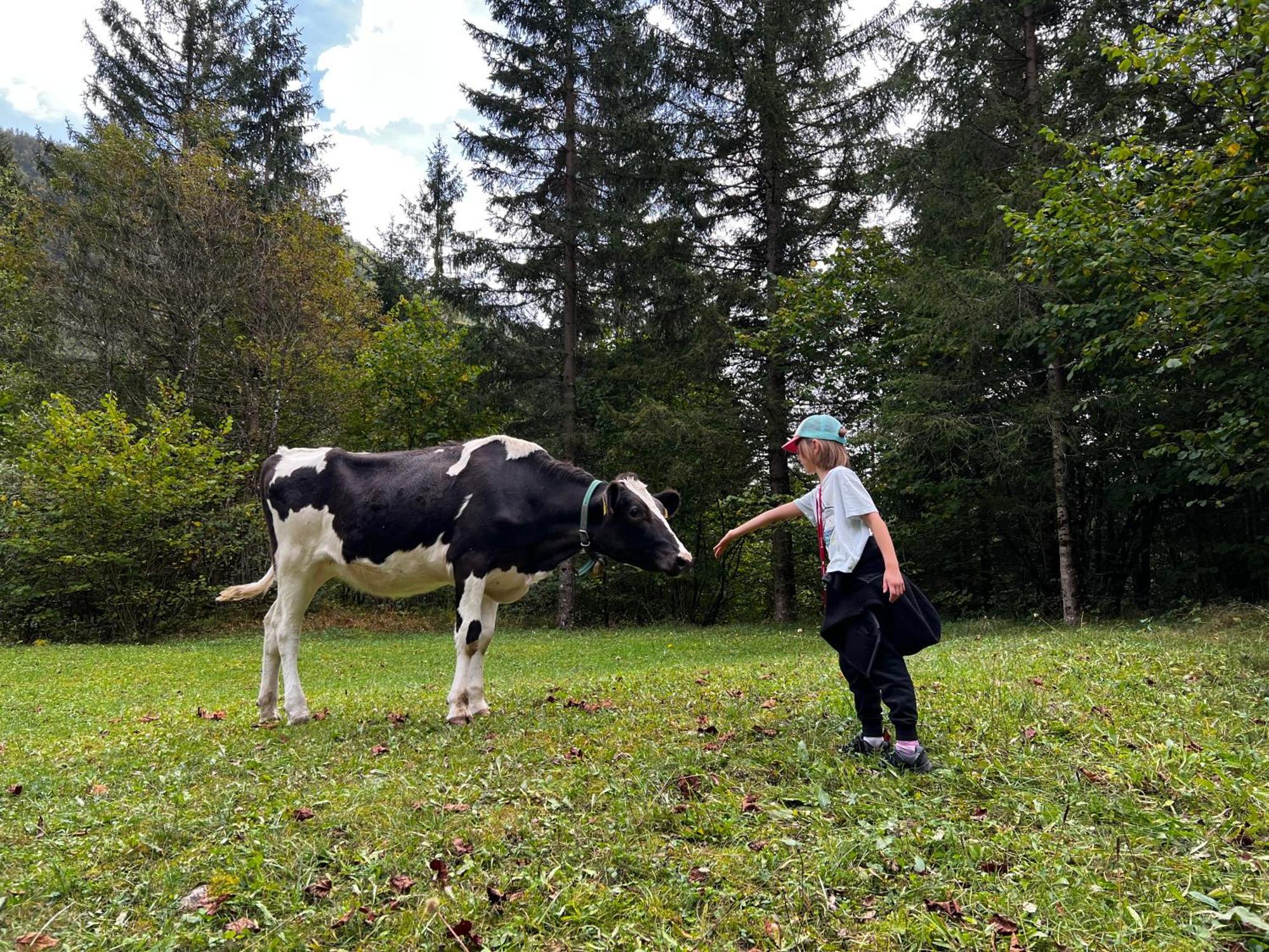 Apartmaji Katrnjek Apartment Bohinj Luaran gambar