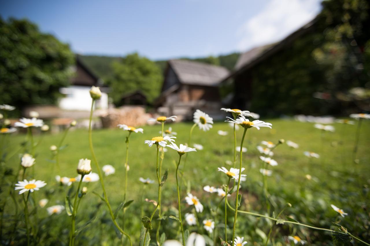 Apartmaji Katrnjek Apartment Bohinj Luaran gambar